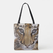 Tiger CUB Tasche (Rückseite)