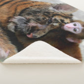 Tiger Cub und Baby Monkey Sherpadecke (3/4)