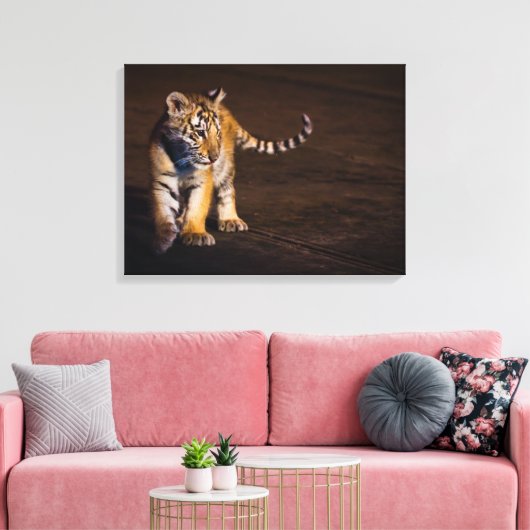 Tiger Cub Walking Leinwanddruck (Insitu (Wohnzimmer))