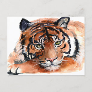 Tiger Cub Watercolor Postkarte