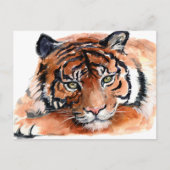 Tiger Cub Watercolor Postkarte (Vorderseite)