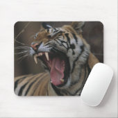 Tiger Cub Yawning Mousepad (Mit Mouse)