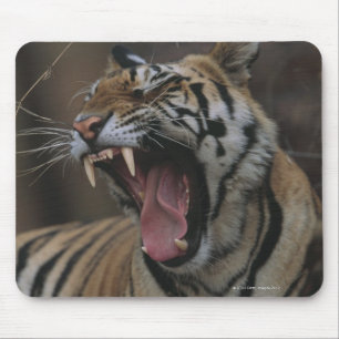 Tiger Cub Yawning Mousepad