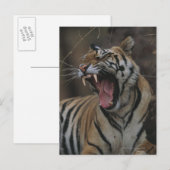Tiger Cub Yawning Postkarte (Vorne/Hinten)