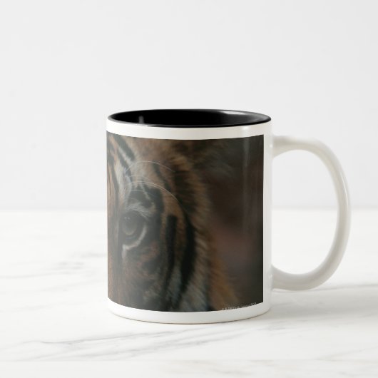Tiger CUB Zweifarbige Tasse (Rechts)