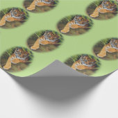 Tiger-CUBmattPackpapier, 30" x 6' Geschenkpapier (Ecke)
