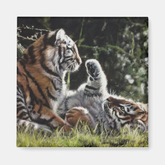 Tiger cubs playing in the woods magnet