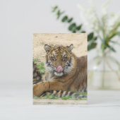 Tiger Cubs Postkarte (Stehend Vorderseite)