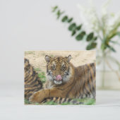Tiger Cubs Postkarte (Stehend Vorderseite)