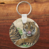 Tiger Cubs Schlüsselanhänger (Vorderseite)