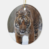 Tiger Damai Smithsonian | Sumatran Keramikornament (Links)