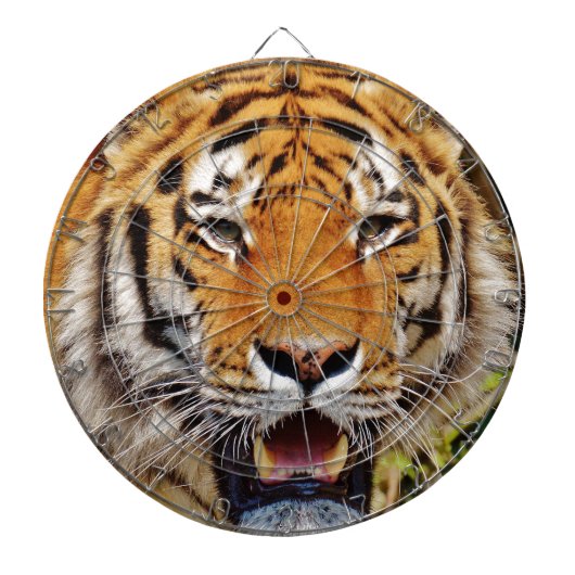 Tiger Dartscheibe (vorne)