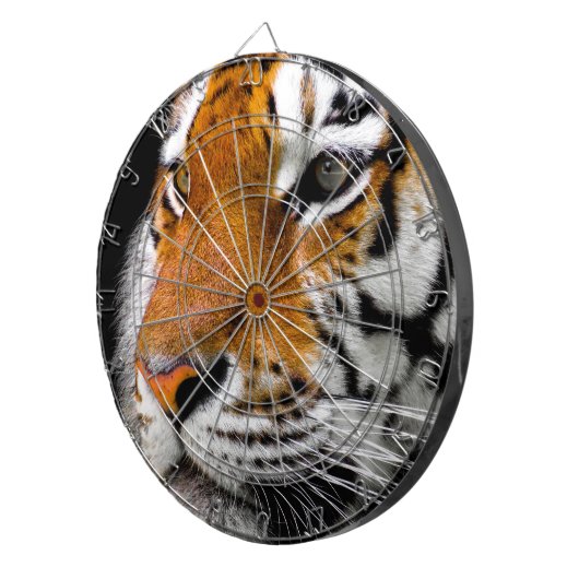 Tiger Dartscheibe (Vorderseite rechts)