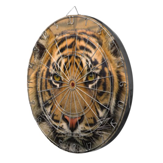 Tiger Dartscheibe (Vorderseite rechts)