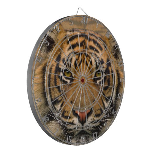 Tiger Dartscheibe (Vorderseite Links)