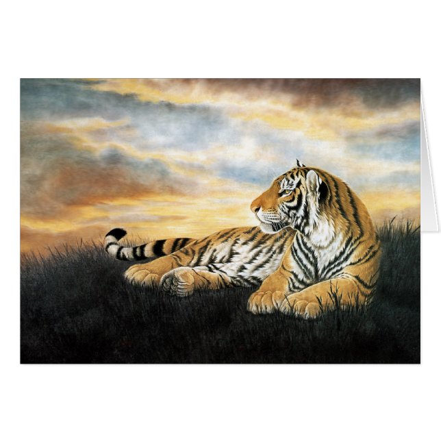 Tiger Dawn (Vorderseite (Horizontal))