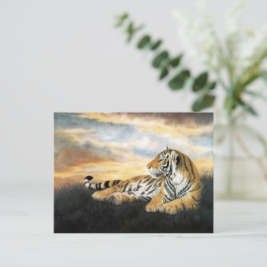 Tiger Dawn Postkarte (Stehend Vorderseite)