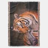Tiger Decke (Vorderseite Vertikal)