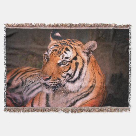Tiger Decke (Vorderseite)