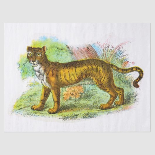 Tiger-Dekoute für Vintagen Liger oder Löwe Seidenpapier (Vorderseite)