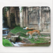 Tiger-Den Mousepad (Vorne)