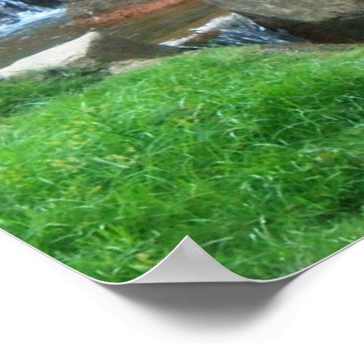 Tiger-Den Poster (Ecke)