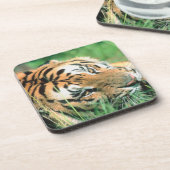 Tiger, der im Gras liegt Getränkeuntersetzer (Linke Seite)