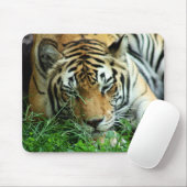 Tiger, der im Gras Mousepad schläft (Mit Mouse)