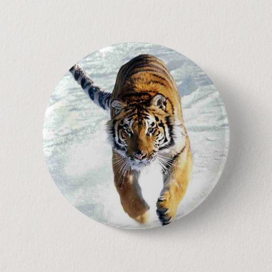 Tiger, der in Schnee läuft Button (Vorderseite)