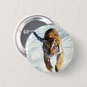Tiger, der in Schnee läuft Button (Vorne & Hinten)