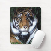 Tiger, der Mousepad malt (Mit Mouse)