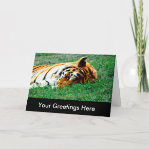 Tiger, der unten leere Gruß-Karte liegt Karte