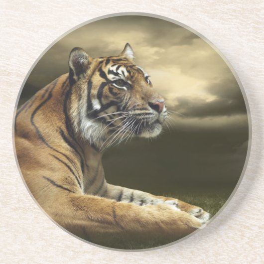 Tiger, der unter drastischem Himmel schaut und Getränkeuntersetzer (Vorne)