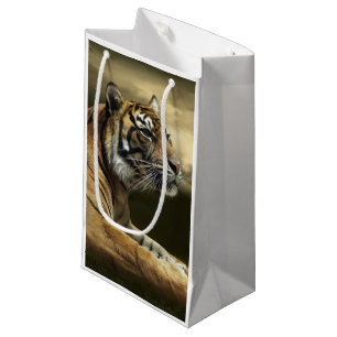 Tiger, der unter drastischem Himmel schaut und Kleine Geschenktüte