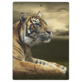 Tiger, der unter drastischem Himmel schaut und Klemmbrett (Rückseite)