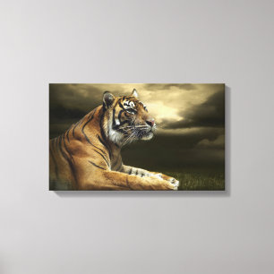 Tiger, der unter drastischem Himmel schaut und Leinwanddruck