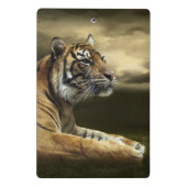 Tiger, der unter drastischem Himmel schaut und Mini Klemmbrett (Rückseite)