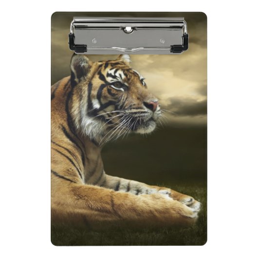 Tiger, der unter drastischem Himmel schaut und Mini Klemmbrett (Vorderseite)