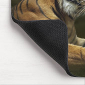Tiger, der unter drastischem Himmel schaut und Mousepad (Ecke)