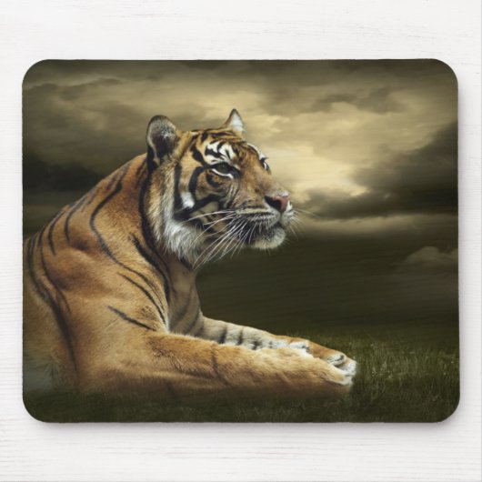 Tiger, der unter drastischem Himmel schaut und Mousepad (Vorne)