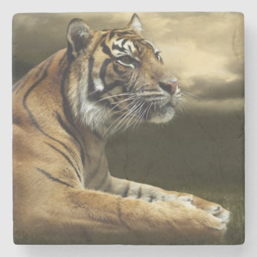 Tiger, der unter drastischem Himmel schaut und Steinuntersetzer (Vorderseite)