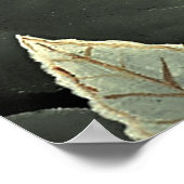 "Tiger - Detail from The Dream" Poster (Ecke)