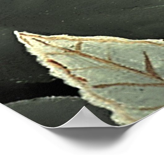 "Tiger - Detail from The Dream" Poster (Ecke)