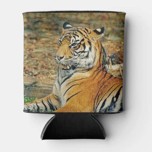 Tiger Dosenkühler (Vorderseite)