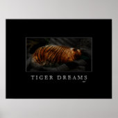 Tiger Dreams Poster (Vorne)