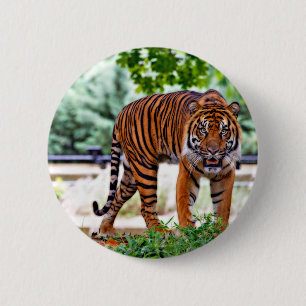Tiger-Druck Katze individuell personalisieren Jubi Button