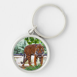 Tiger-Druck-Katzeneigentum personalisieren Jahrest Schlüsselanhänger