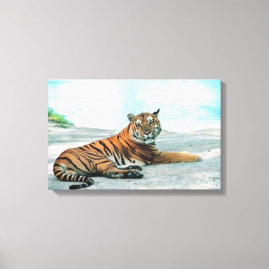 Tiger durch Fluss Leinwanddruck (Vorderseite)
