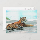 Tiger durch Fluss Postkarte (Vorne/Hinten)
