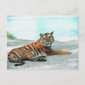 Tiger durch Fluss Postkarte (Vorderseite)